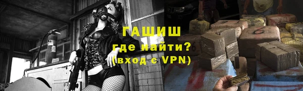 шишки Абаза