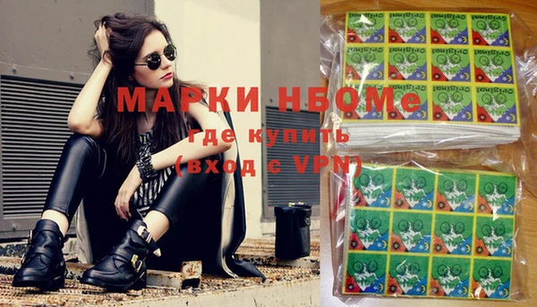 шишки Абаза