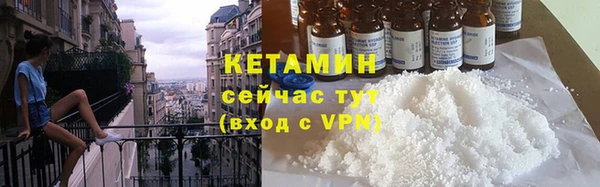 шишки Абаза