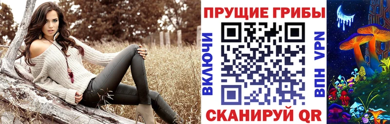 Галлюциногенные грибы Psilocybine cubensis  ОМГ ОМГ онион  Аксай 