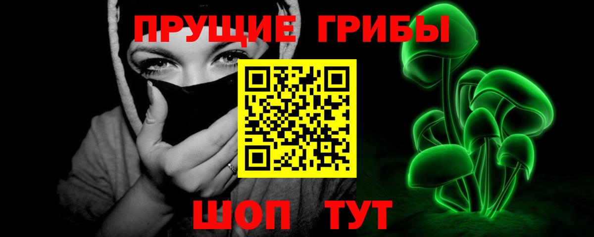 Аксай  Псилоцибиновые грибы прущие грибы  Галлюциногенные грибы Psilocybe  Вход с VPN 